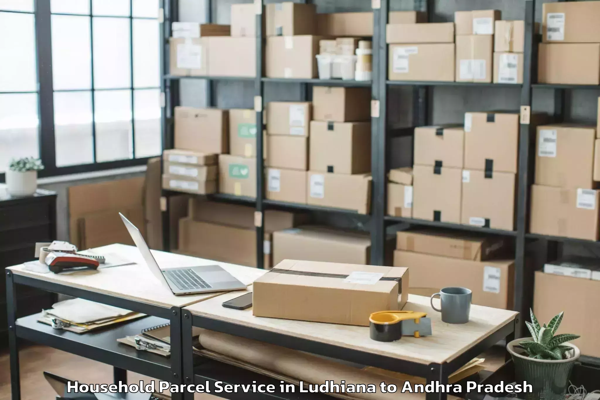 Book Ludhiana to Gangadhara Nellore Household Parcel Online